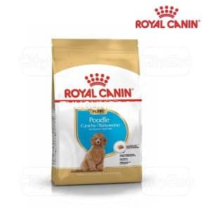 Royal Canin Poodle Puppy 500g